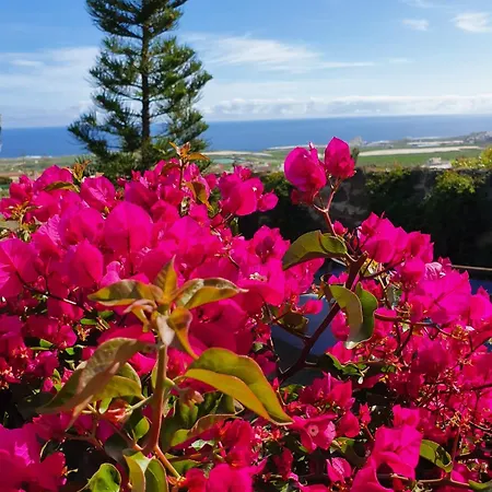 Mariposas Apartamento Los Silos