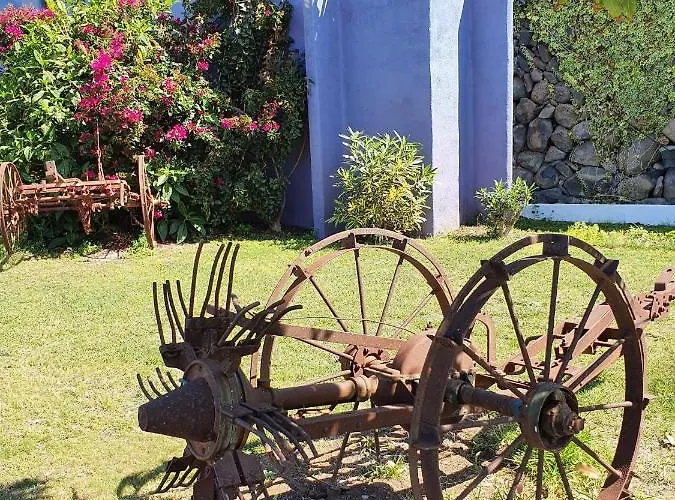 Mariposas דירה *