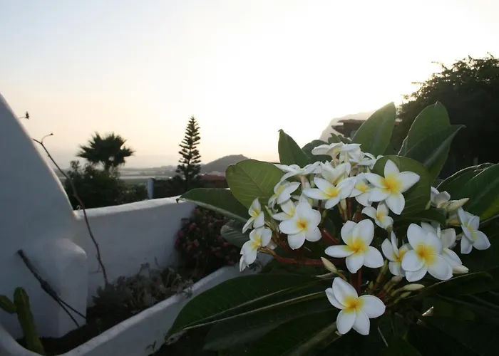 דירה Mariposas *