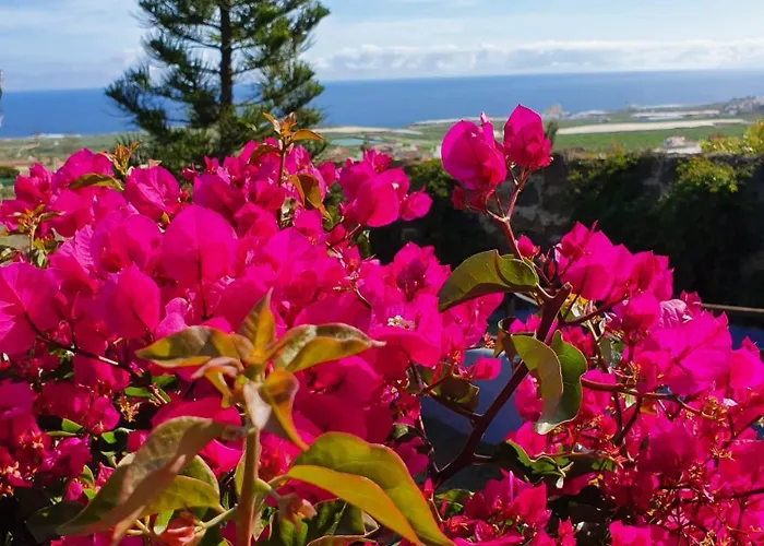 Mariposas Lejlighed Los Silos